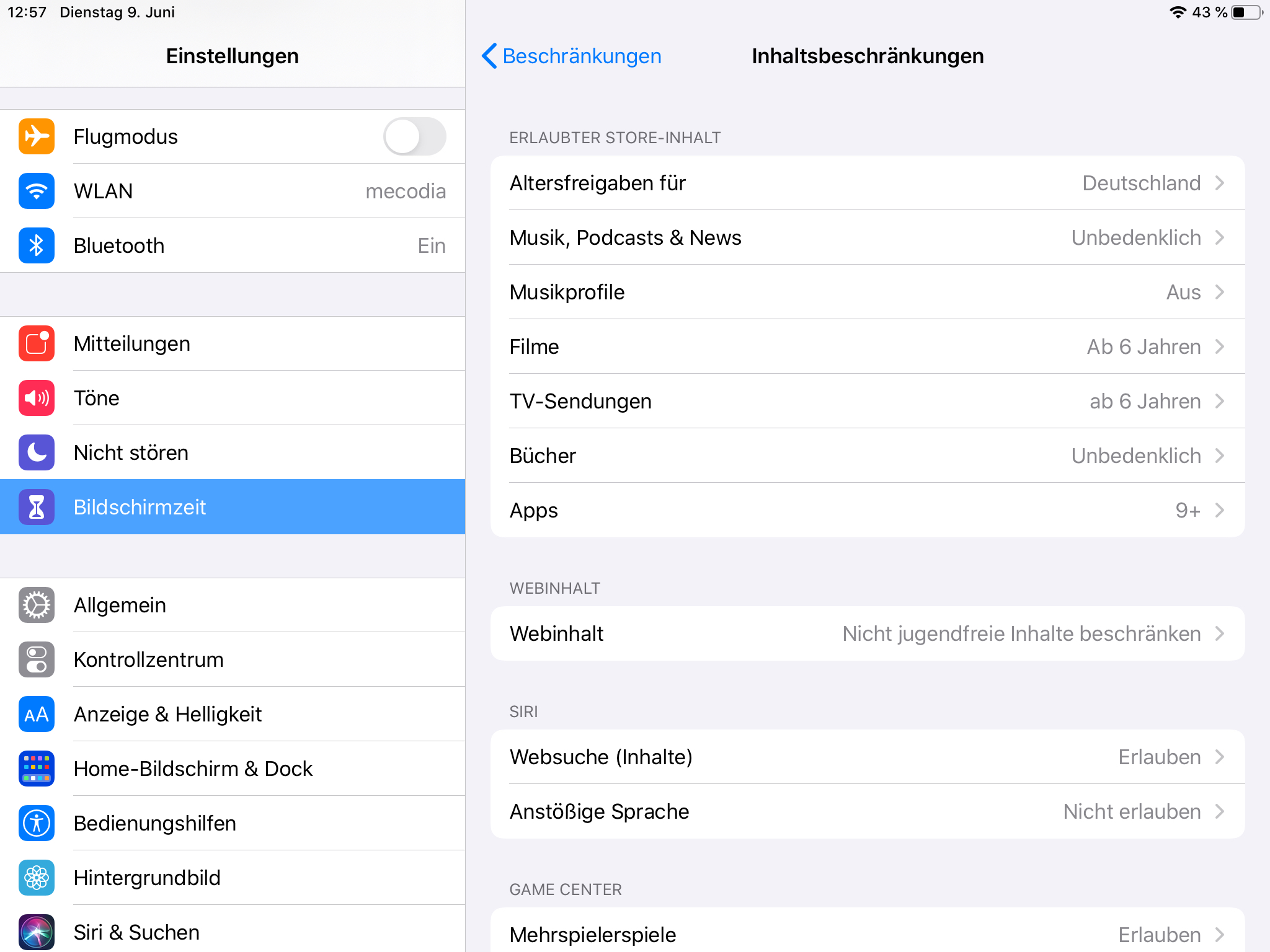 iOS Einstellung zu Inhaltsbeschränkungen